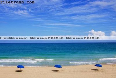 File in ấn cao cấp phong canh dep 381 (file gốc)