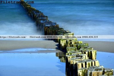 File gốc phong canh dep 386 (chuẩn CMYK) cho nhà in