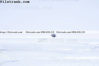 File PSD phong canh dep 413 (nguyên gốc) chất lượng cao