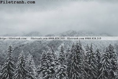 File gốc phong canh nui ngang 105 (Filetranh.com) phong canh nui ngang 105