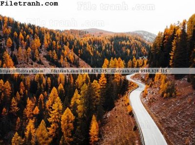 Tải file gốc in lụa phong canh nui ngang 136 siêu nét