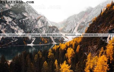 File tranh phong canh nui ngang 146 (gốc) chủ đề con người