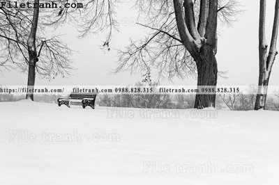 Mua file gốc phong canh nui ngang 227 (in ấn) tại Filetranh.com