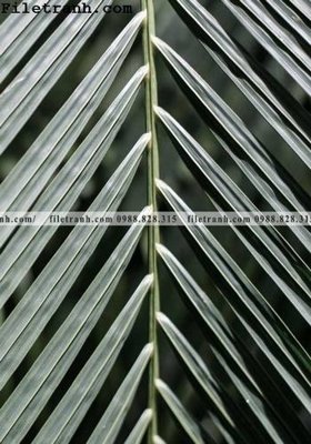 File ảnh phong canh phong cach Bac Au tuoi moi 117 (gốc) in quảng cáo ngoài trời