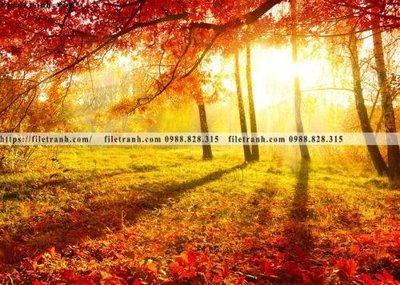 File gốc in tráng gương phong canh rung cay mua thu 502 chi tiết