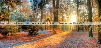 File gốc phong canh rung cay mua thu 505 (cho in ấn) từ Filetranh.com