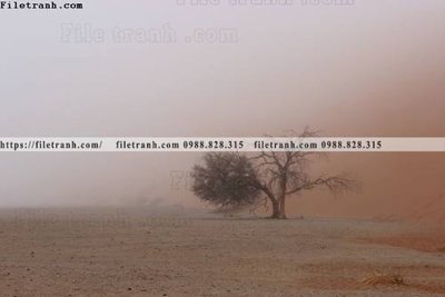 Tải file tranh phong canh rung cay mua thu 512 (gốc) tại Filetranh.com