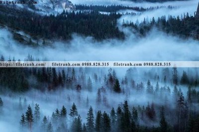 File in trần phong canh rung cay mua thu 517 (bản gốc) 5D