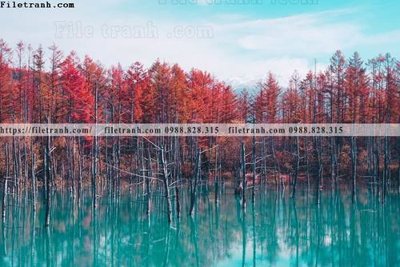 File tranh phong canh rung cay mua thu 519 (bản gốc) in canvas