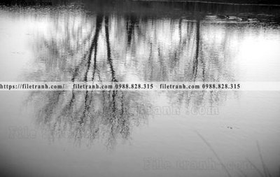 File ảnh phong canh rung cay mua thu 521 (gốc) in standee