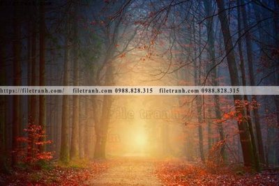 File tranh phong canh rung cay mua thu 527 (file gốc) chuẩn màu in