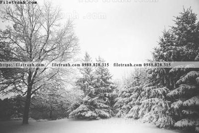 File in mica phong canh rung cay mua thu 531 (bản gốc) siêu trong