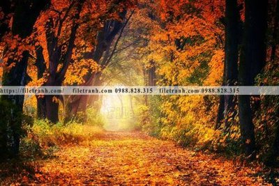 Tải file phong canh rung cay mua thu 537 (gốc) in nhanh