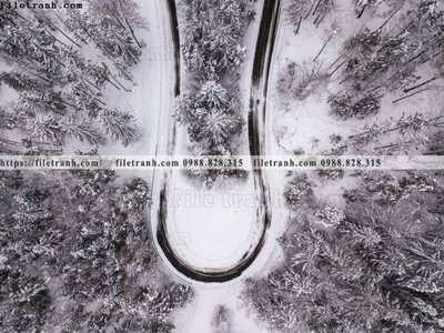 File in lụa phong canh rung cay mua thu 541 (hoa văn) phong canh rung cay mua thu 541