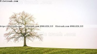 Tải file phong canh rung cay mua thu 542 (gốc) chủ đề tâm linh