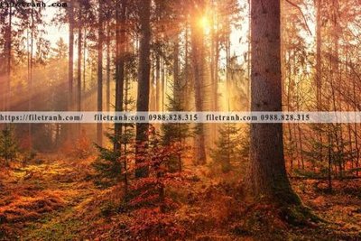 Tải file gốc phong canh rung cay mua thu 548 (bản PSD) còn layer