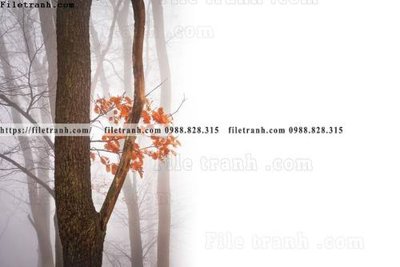 File gốc phong canh rung cay mua thu 551 (in lụa) chi tiết cao