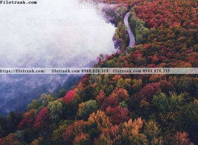 File gốc phong canh rung cay mua thu 560 (AI/EPS) cho in ấn