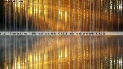 File gốc phong canh rung cay mua thu 567 (ảnh rõ nét) để in