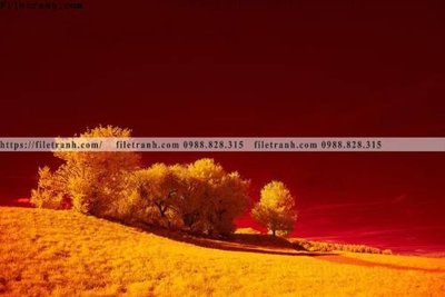 File gốc phong canh rung cay mua thu 570 (cho in ấn) từ Filetranh.com