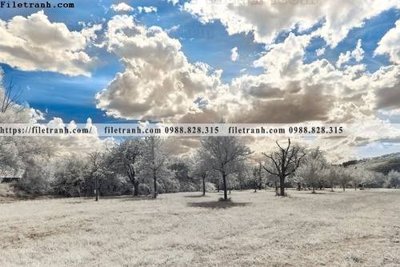 Hình ảnh file gốc in trần nhà phong canh rung cay mua thu 573