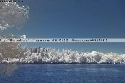 File gốc phong canh rung cay mua thu 576 (in lụa) tranh phong thủy