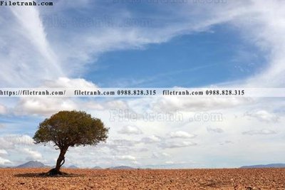 File gốc phong canh rung cay mua thu 584 (in tráng gương) nghệ thuật