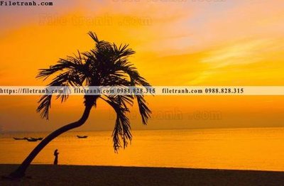 Tải file phong canh rung cay mua thu 599 (ảnh gốc) độ phân giải 300dpi