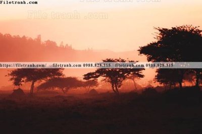 File gốc phong canh rung cay mua thu 604 (vector) cho in ấn