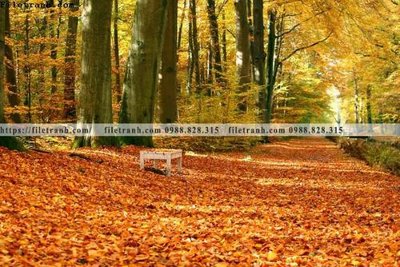 File gốc phong canh rung cay mua thu 606 (cho in ấn) từ kho Filetranh