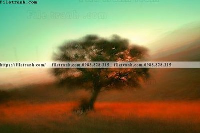 File in mica phong canh rung cay mua thu 609 (bản gốc) siêu trong