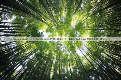 File tranh gốc in trần nhà phong canh rung cay mua thu 612 3D