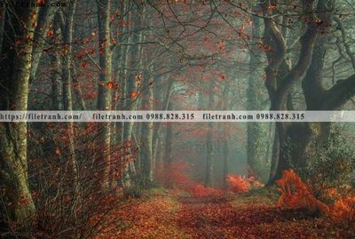 File in ấn phong canh rung cay mua thu 615 chuyên nghiệp