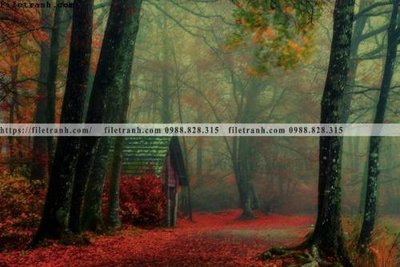 Download file phong canh rung cay mua thu 616 (gốc) in mica ốp bếp