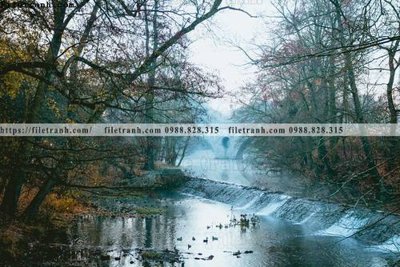 Tải file gốc phong canh rung cay mua thu 619 dùng cho in ấn