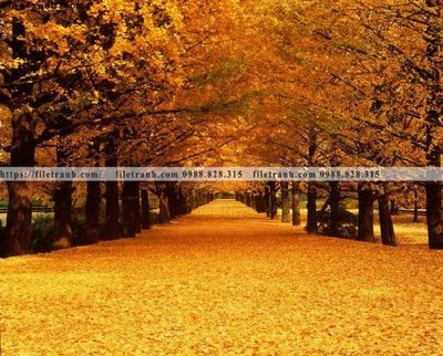 File tranh ảnh gốc phong canh rung cay mua thu 622 dùng cho in khổ lớn