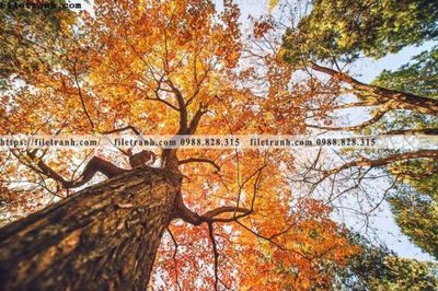 File tranh phong canh rung cay mua thu 623 (gốc) chủ đề động vật