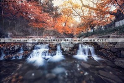 Chi tiết file ảnh phong canh rung cay mua thu 624 sắc nét