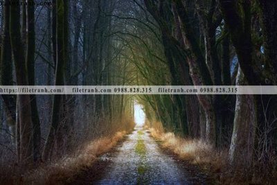 File gốc phong canh rung cay mua thu 629 (phong cách) cổ điển