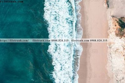 File gốc phong canh rung nui bien 521 (vector) cho in ấn