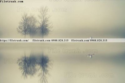 Ảnh gốc phong canh rung nui bien 539 (siêu chi tiết) để in ấn