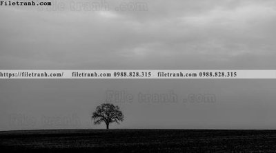 Tải file phong canh rung nui bien 547 (gốc) in nhanh