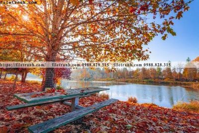 File tranh gốc phong canh rung nui bien 551 (bản quyền) Filetranh.com