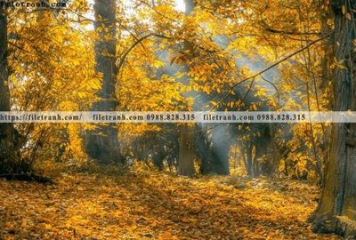 File gốc phong canh rung nui bien 553 (PNG) nền trong suốt