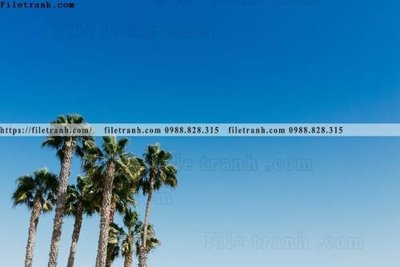 Tải file phong canh rung nui bien 565 (ảnh gốc) in gạch 3D