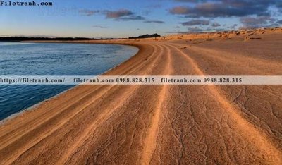 File gốc phong canh rung nui bien 566 (trang trí) phòng trẻ em