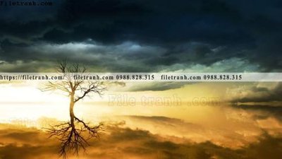 Tải file gốc phong canh rung nui bien 569 (bản PSD) còn layer