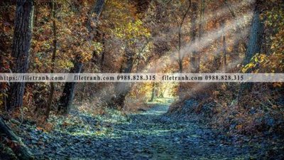 Download file phong canh rung nui bien 582 (gốc) cho xưởng in