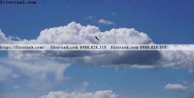 Tải file phong canh rung nui bien 585 (gốc) làm file quảng cáo