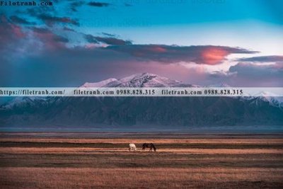 File gốc phong canh rung nui bien 588 (thiết kế) độc quyền